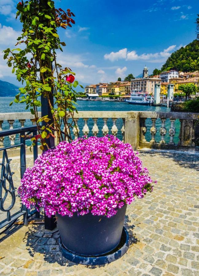 Giardino Appartamento Bellagio